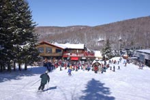 Vist Mont Sutton's Official Site