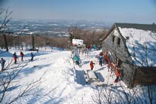 Vist Mont Sutton's Official Site