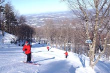 Vist Mont Sutton's Official Site